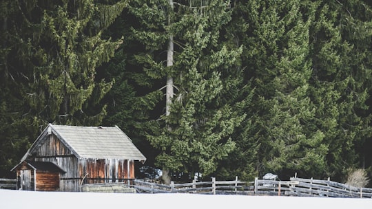 ranch beside forest in Leutasch Austria