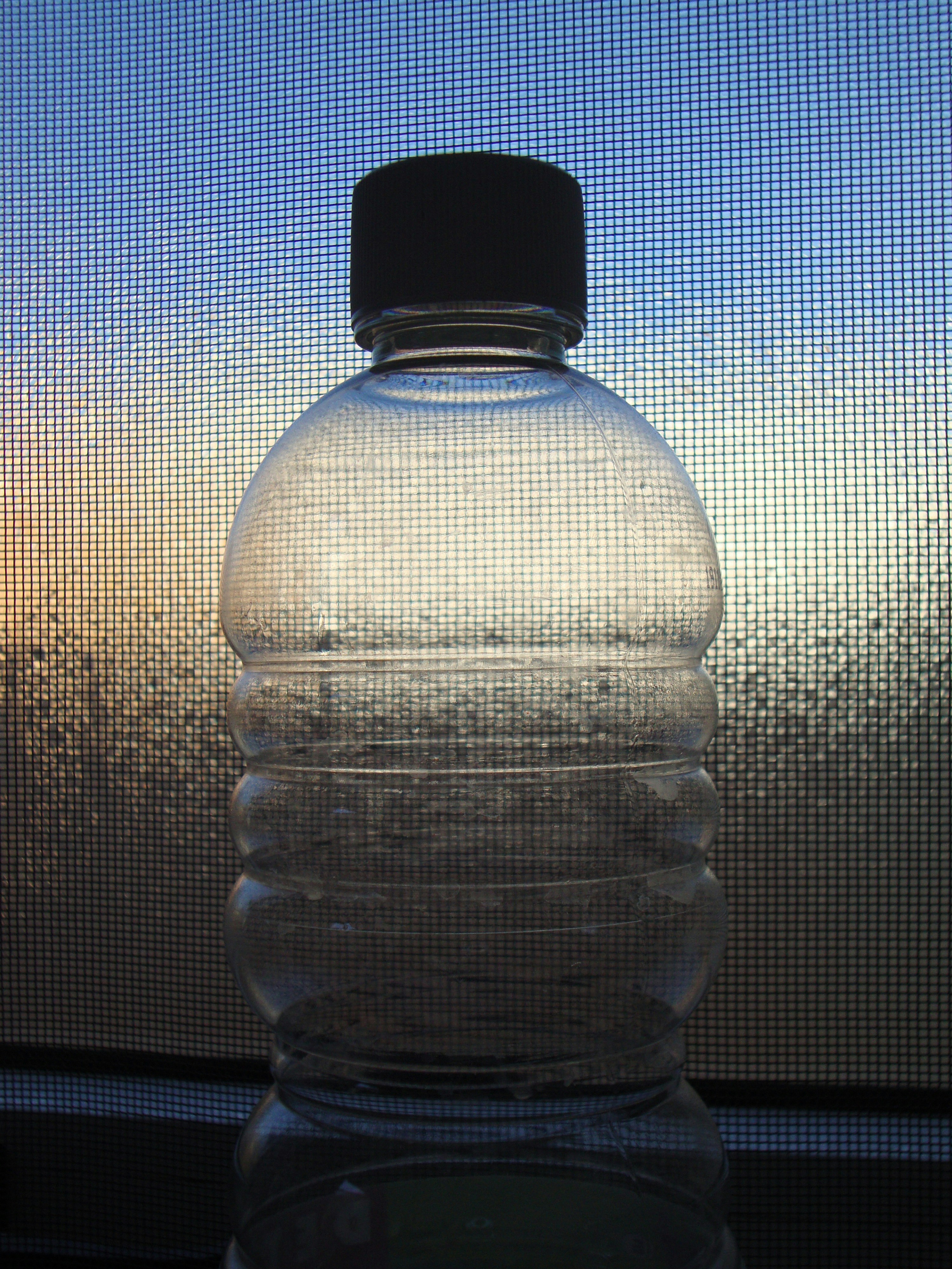 Free Unsplash photo from ethel roca