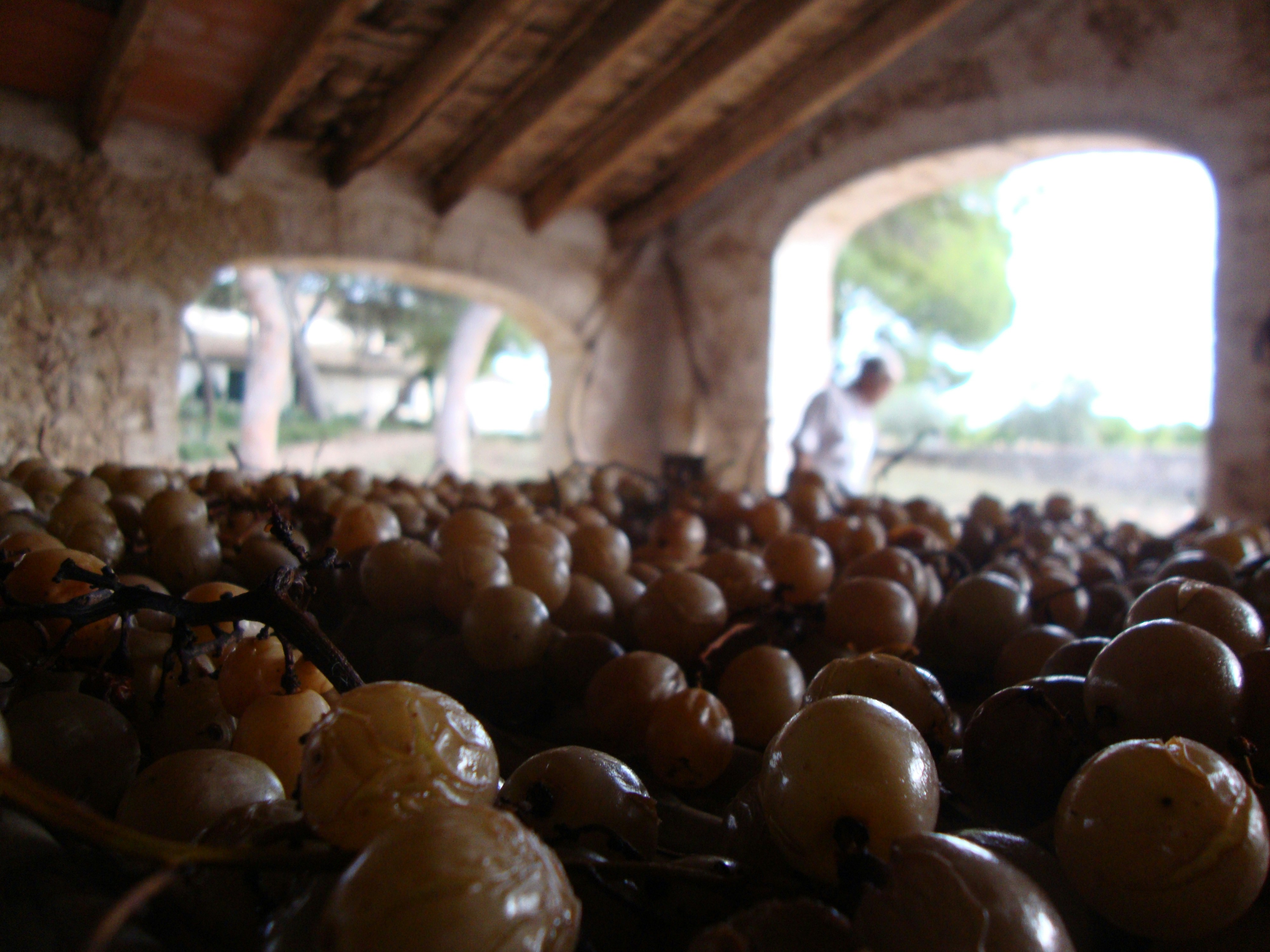 Free Unsplash photo from ethel roca