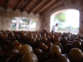 A large number of grapes lying on a surface inside an old stone structure with an arched ceiling. Natural light enters through large open windows in the background, where a person can be faintly seen, blurred and outside the focus.
