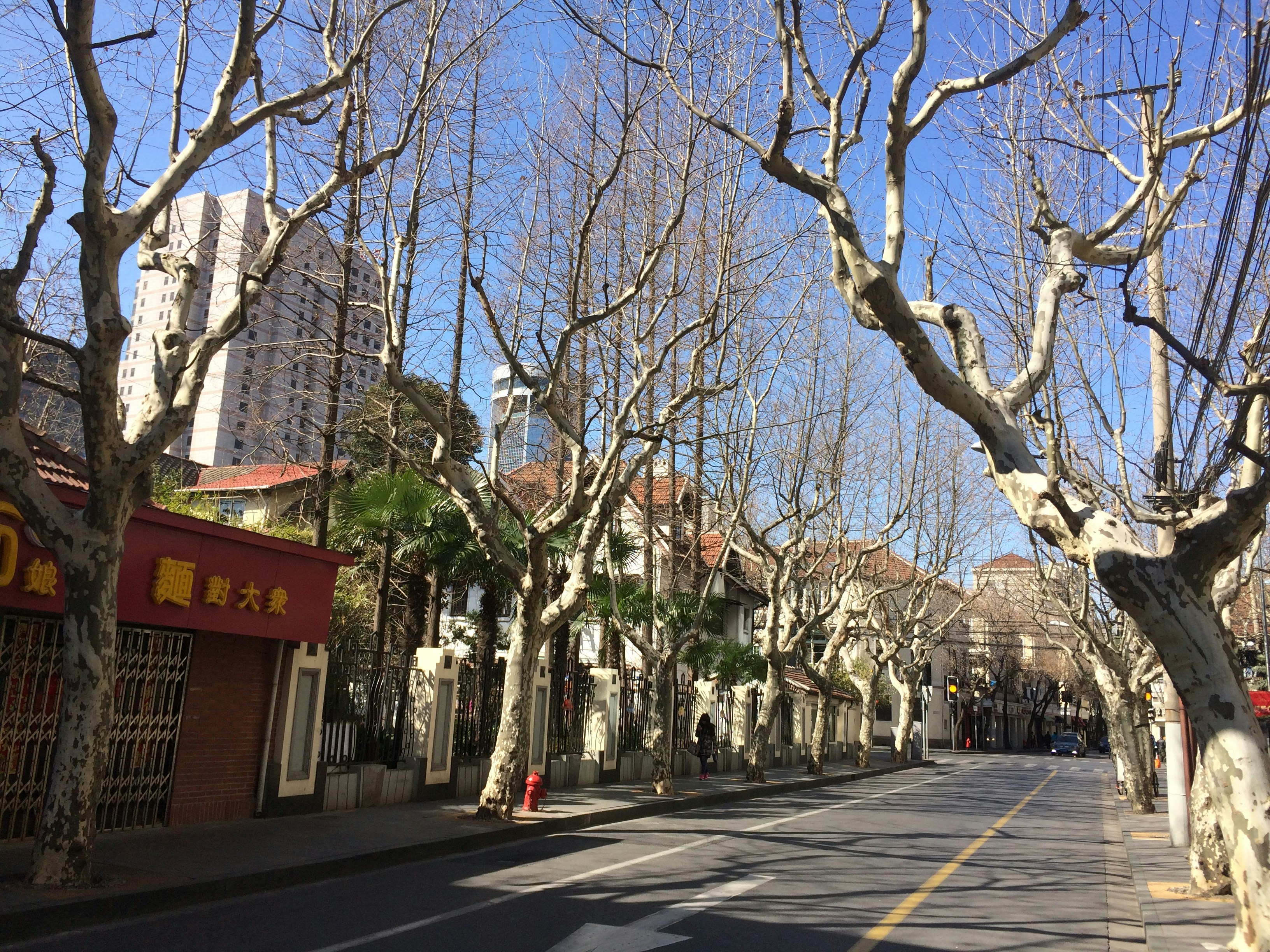 Free Unsplash photo from Marco Ziti