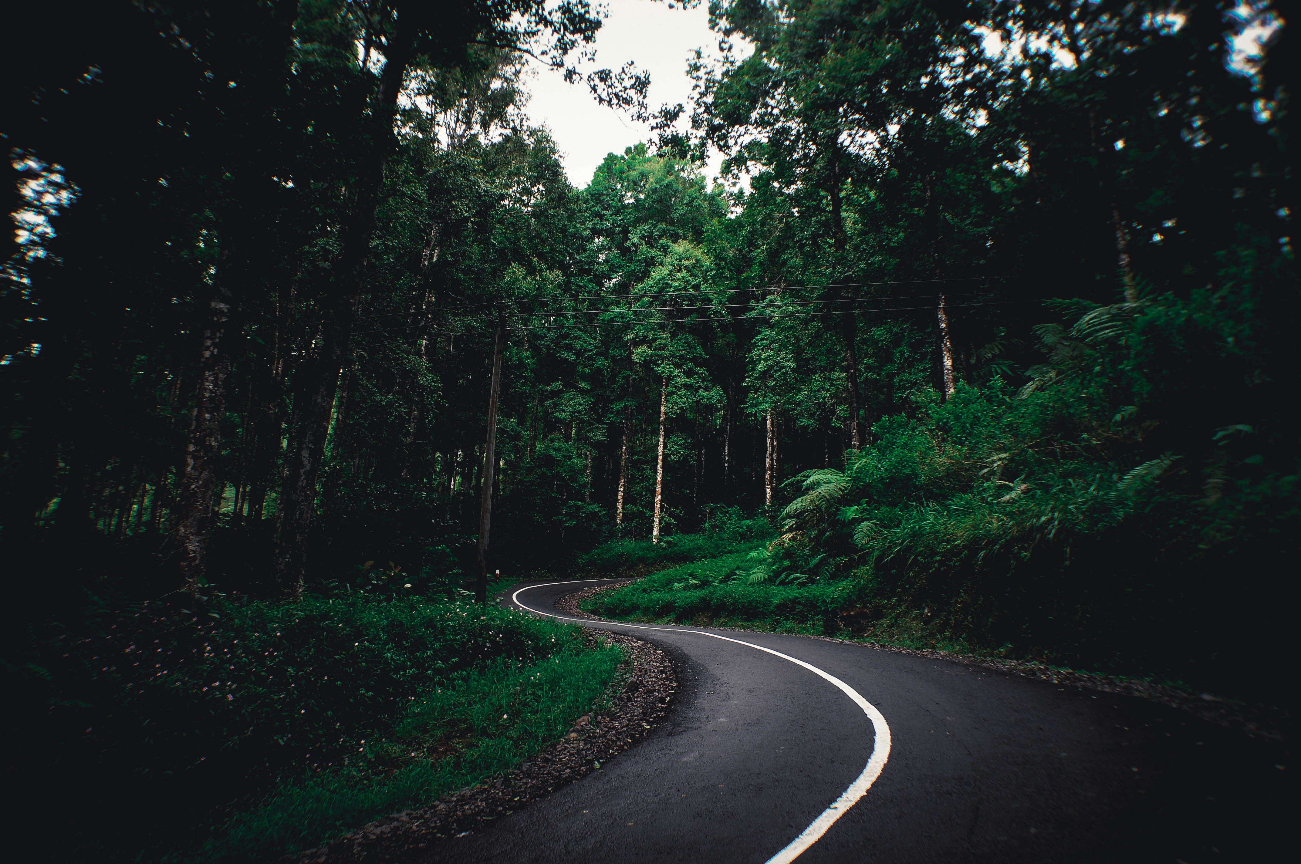 RANGGI MANGGALA (@diaranggi) | Komunitas Foto Unsplash