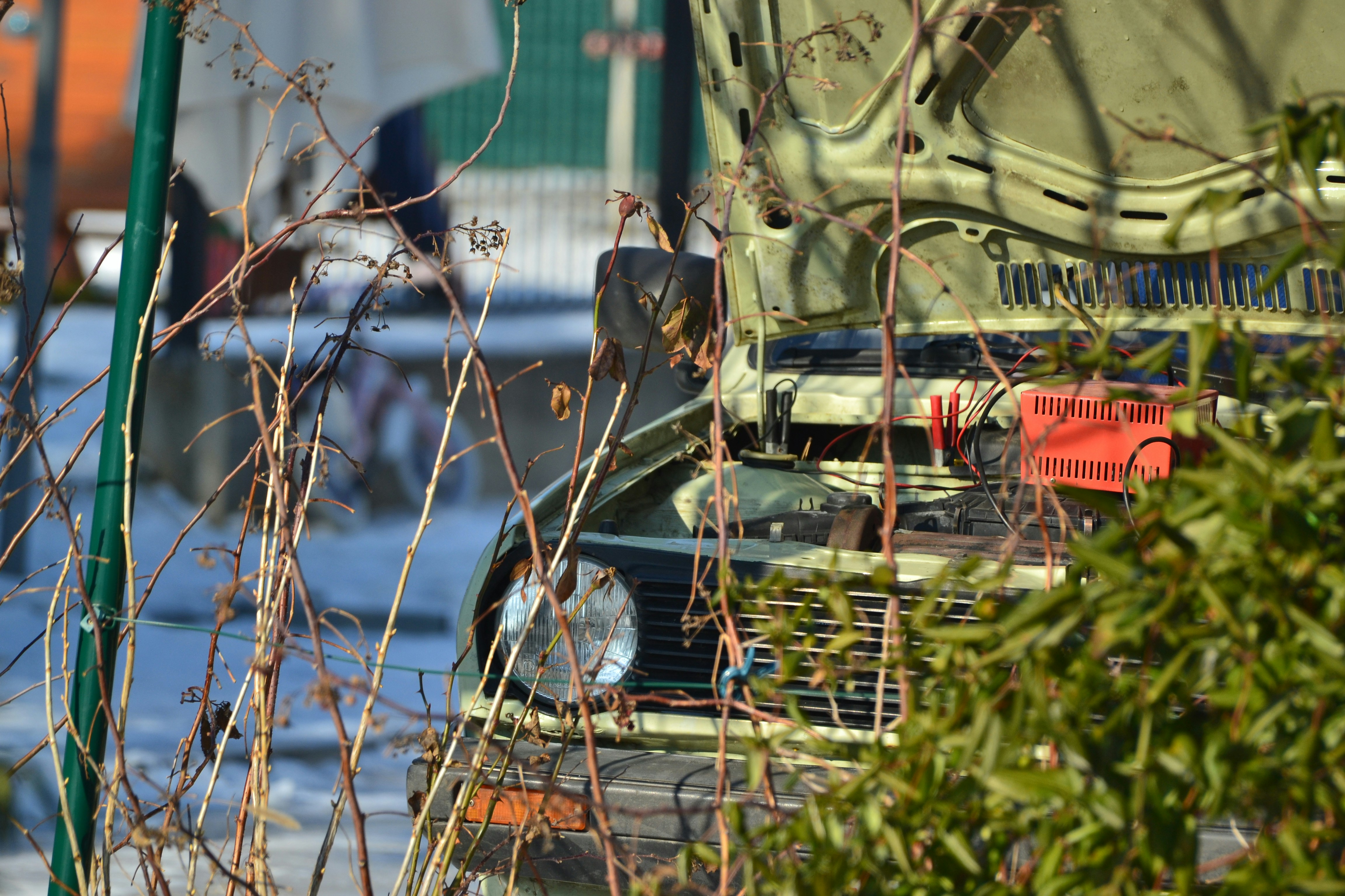 Free Unsplash photo from Szűcs László