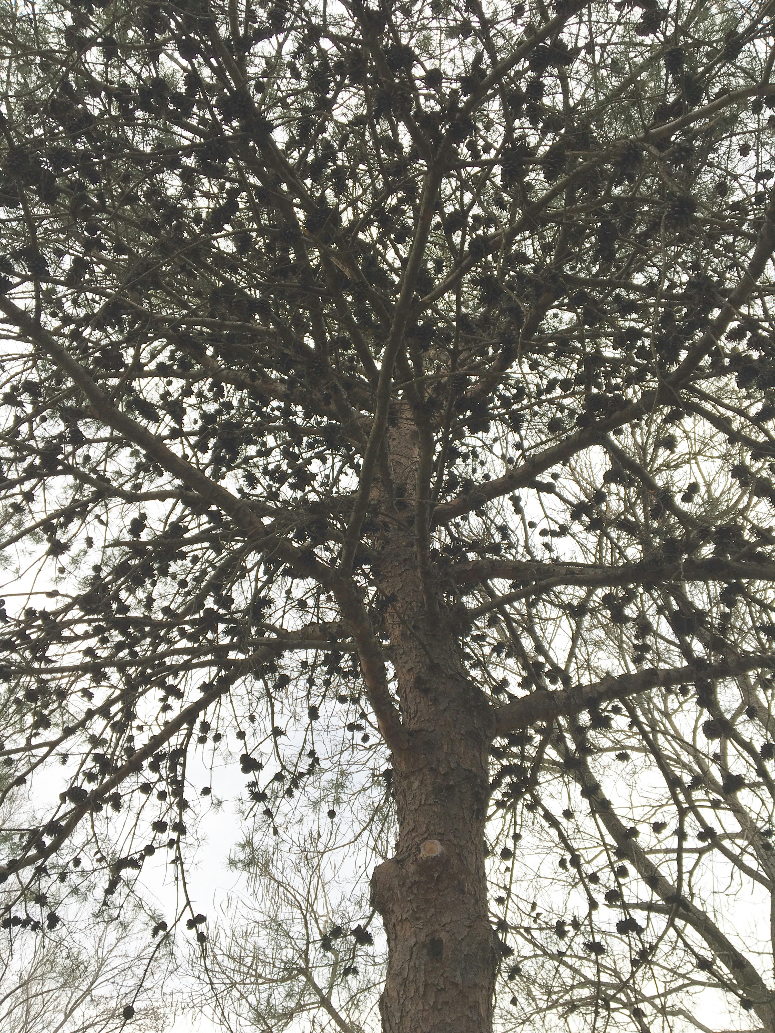 Free Unsplash photo from dsa adssd