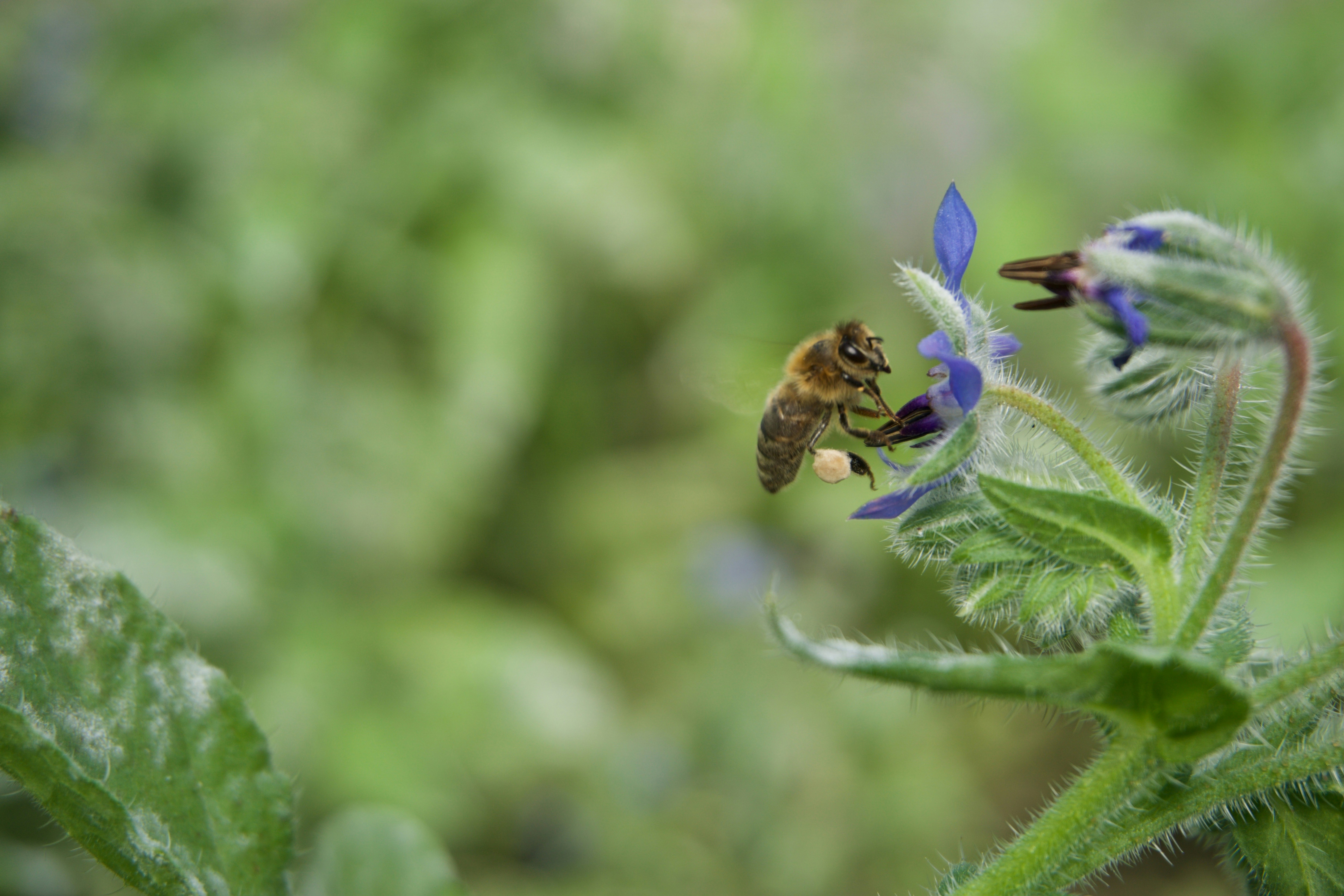 Free Unsplash photo from Samuel Smith