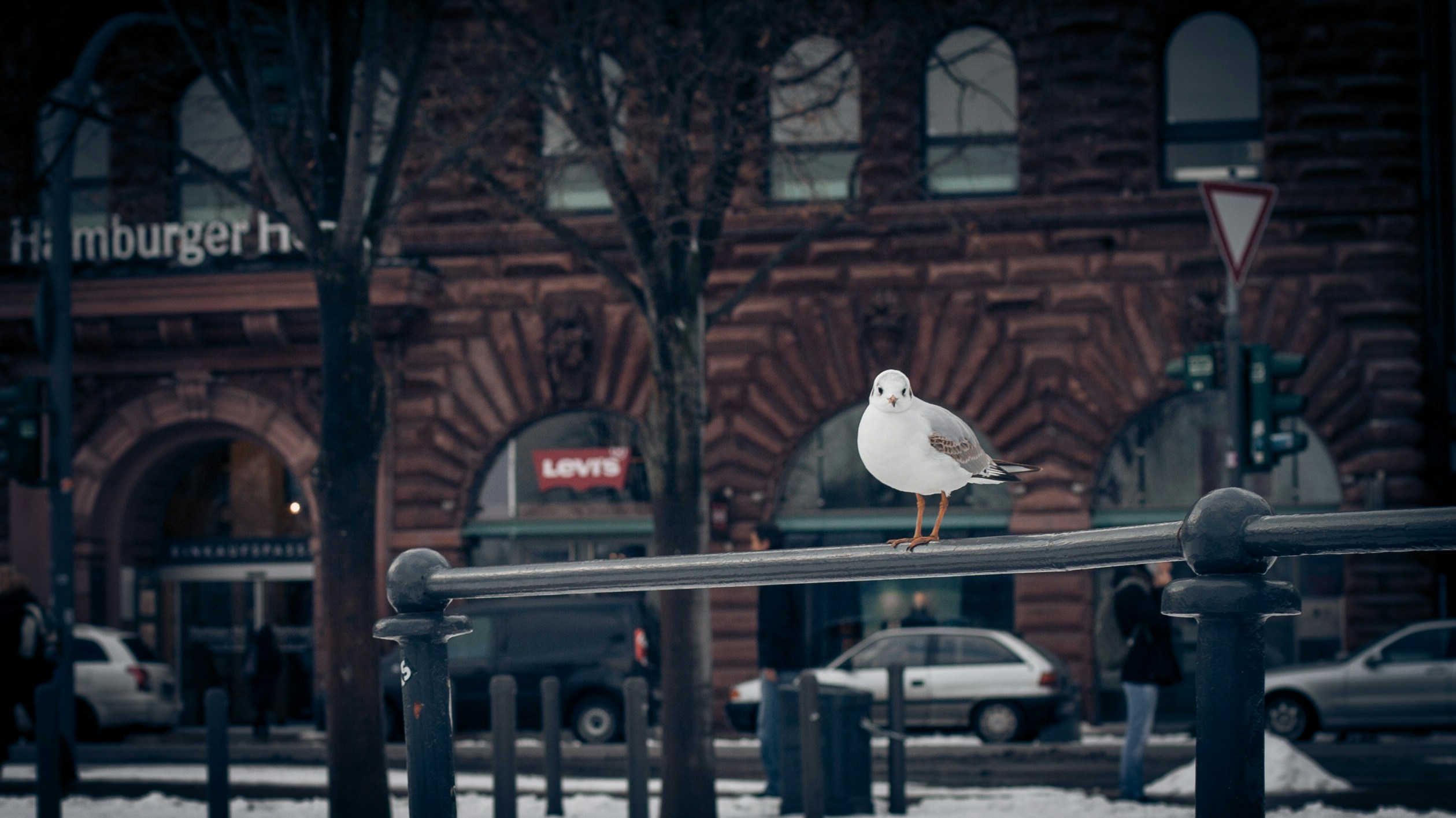 Free Unsplash photo from Jan Romero