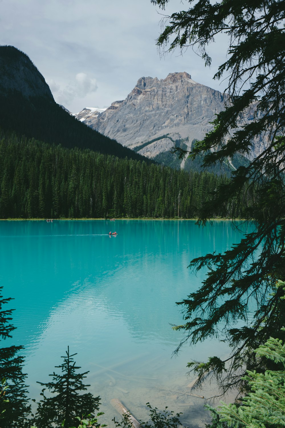 alberi vicino allo specchio d'acqua e alla montagna