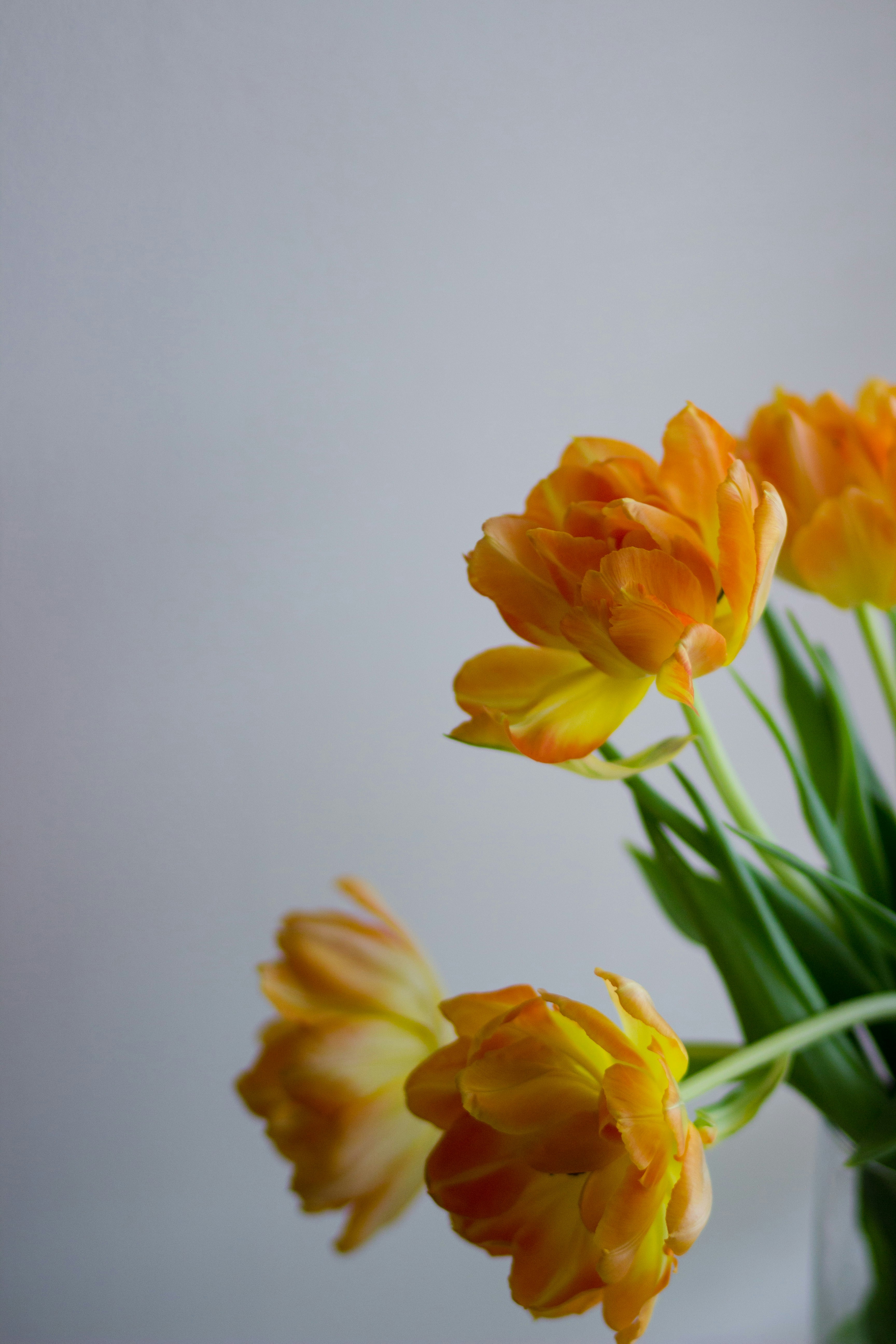 Free Unsplash photo from Sadie Coltrane