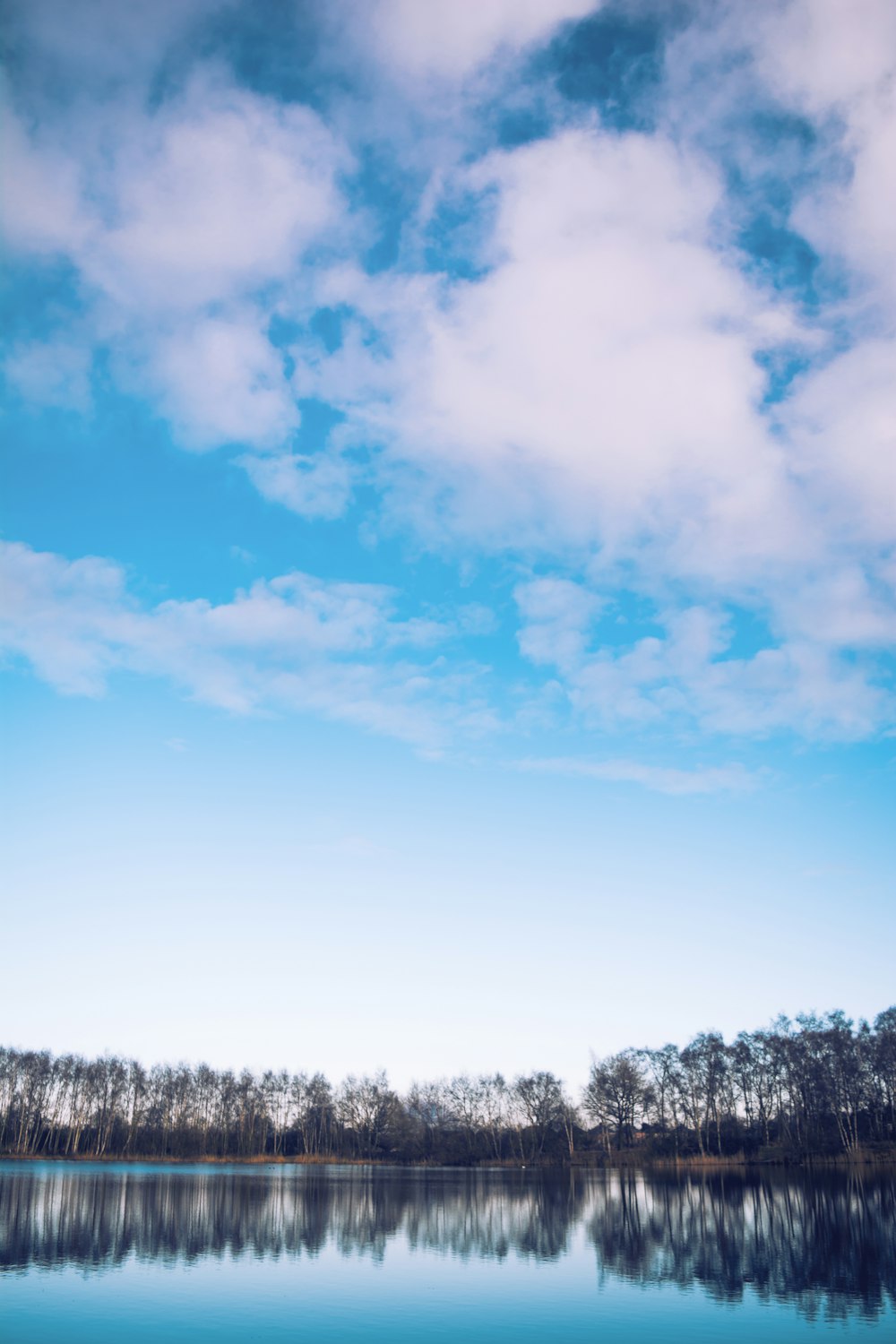 calm body of water by treeline under blue skies