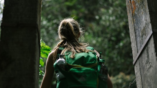 person wearing green backpack in Valle Del Cocora Colombia