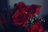Close-up of vibrant red roses arranged in a rustic bouquet