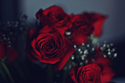 Close-up of vibrant red roses arranged in a rustic bouquet
