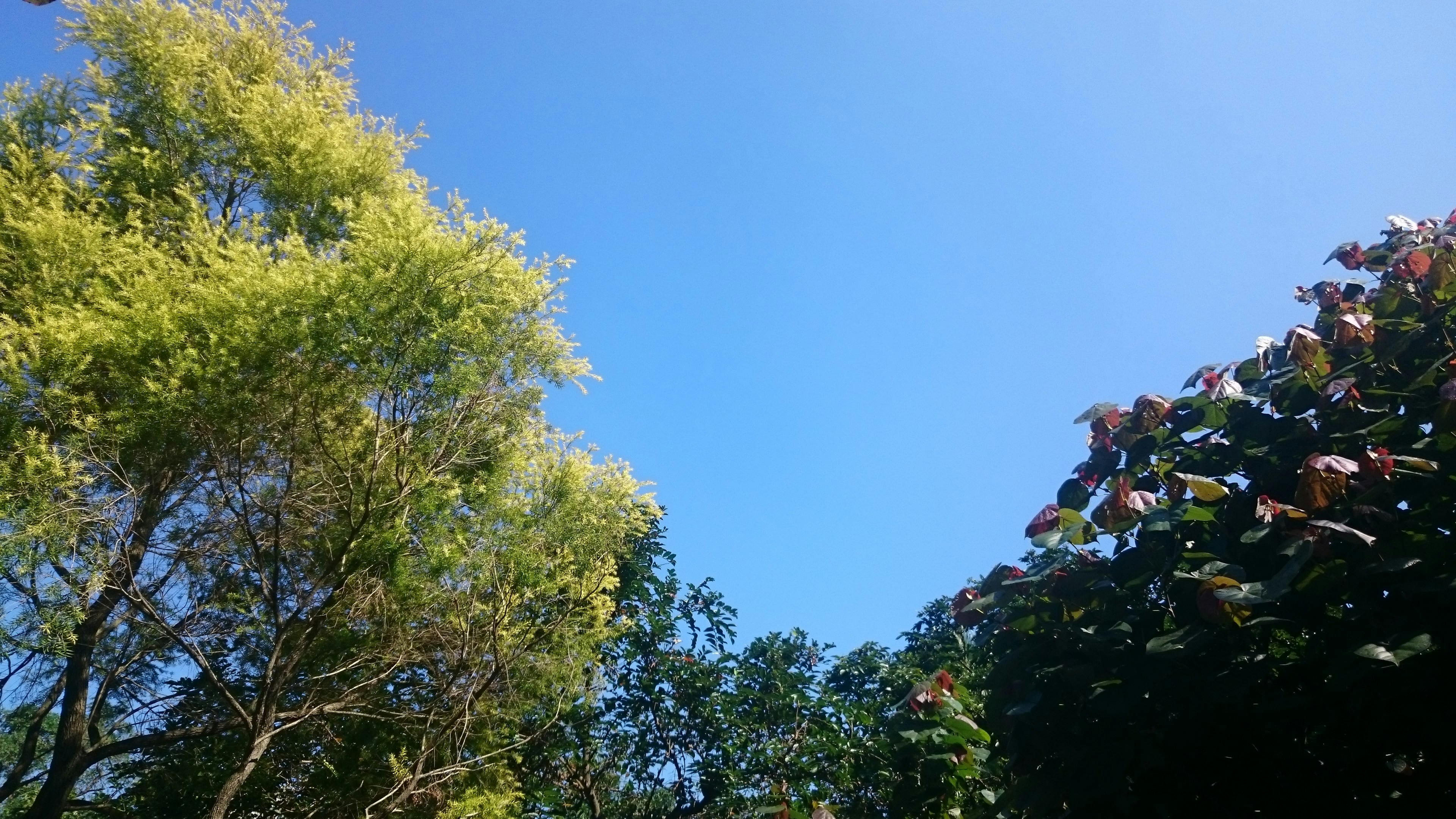 Free Unsplash photo from Peyrong Yang