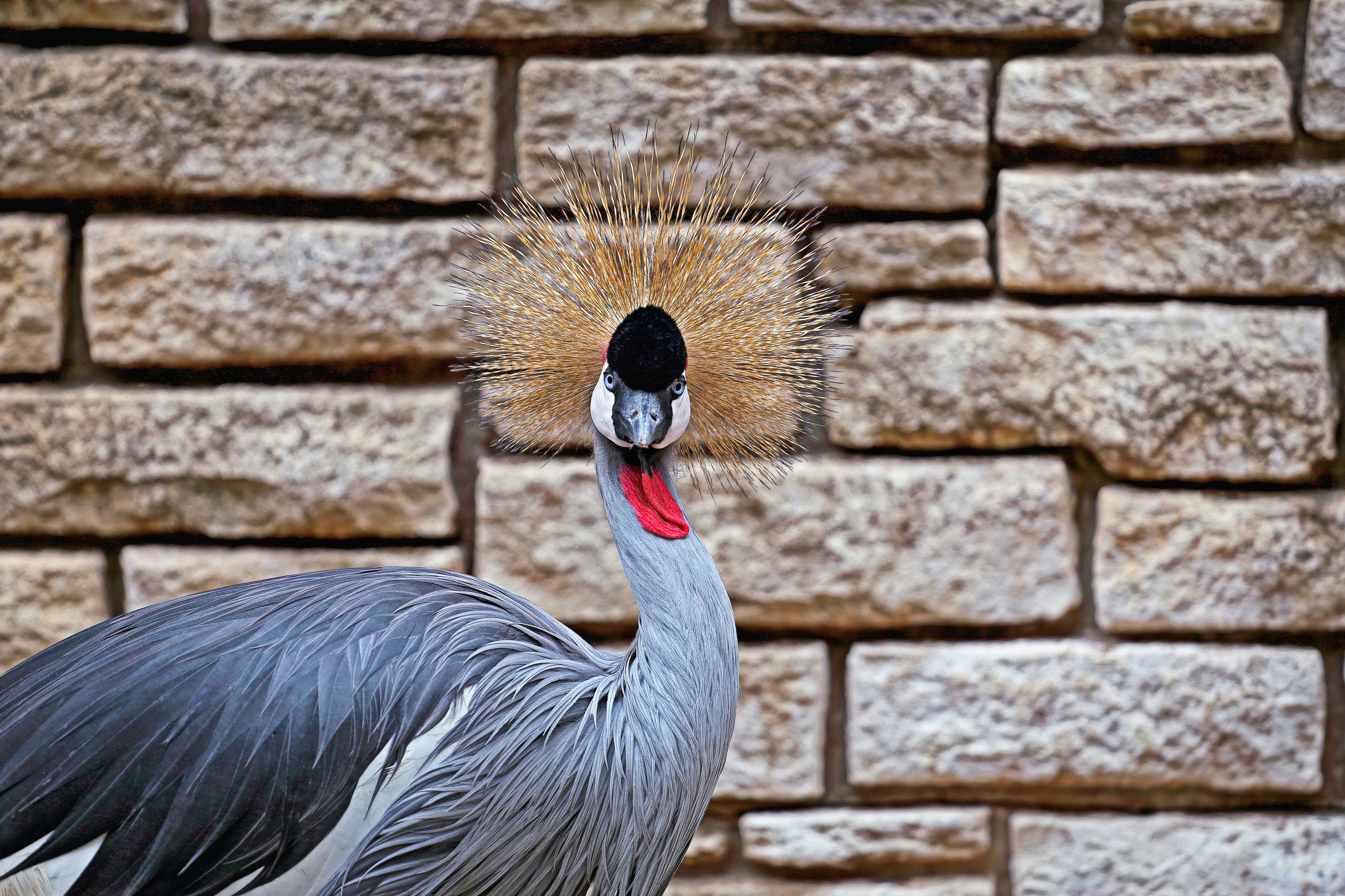 Free Unsplash photo from Mike&Noemi Gonzalez