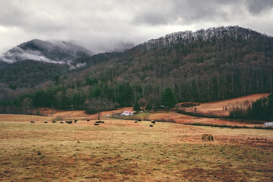 grass field under cloudy sky during daytime in Blue Ridge Mountains United States
