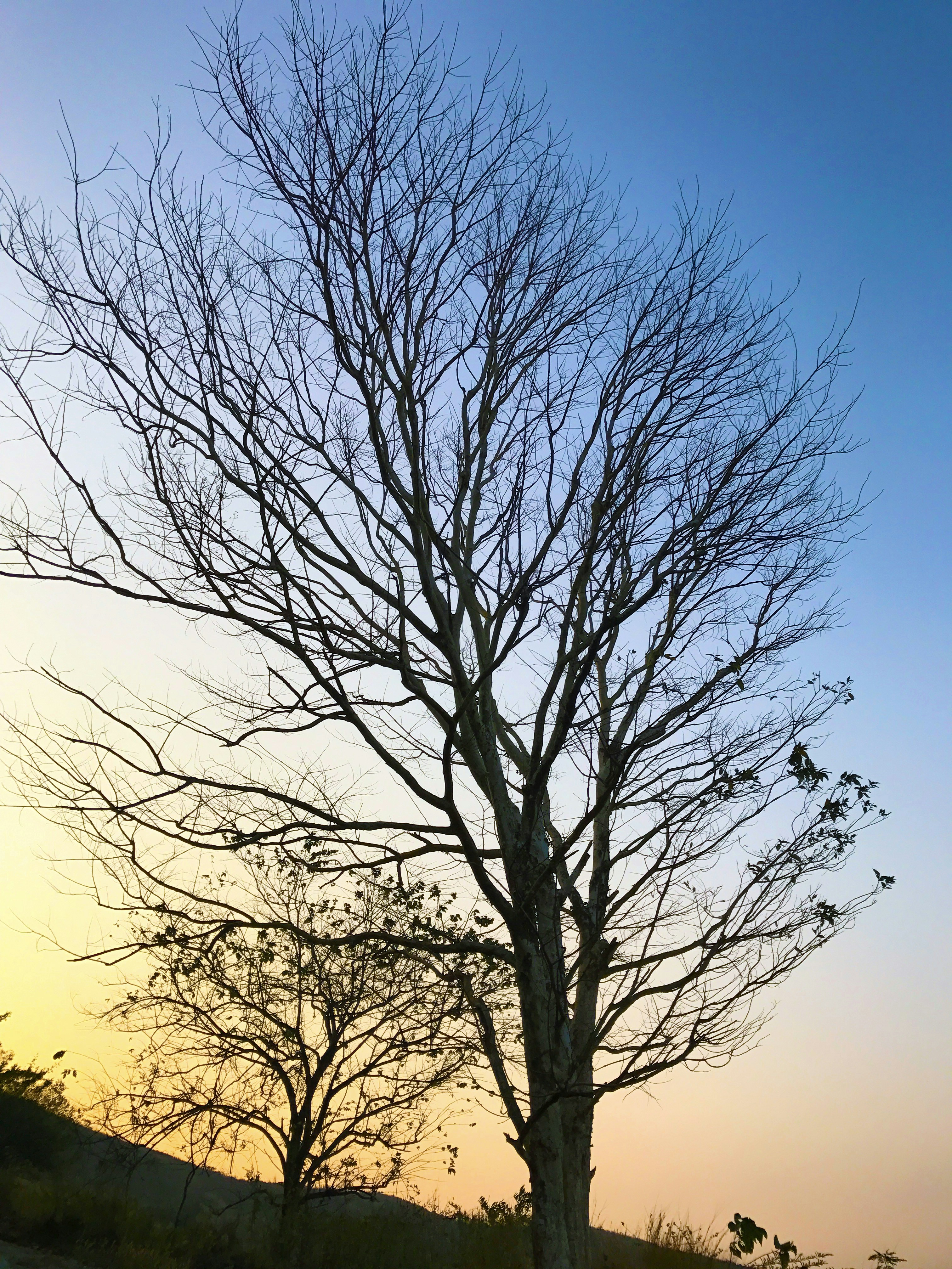 Free Unsplash photo from Muhammed Fayiz