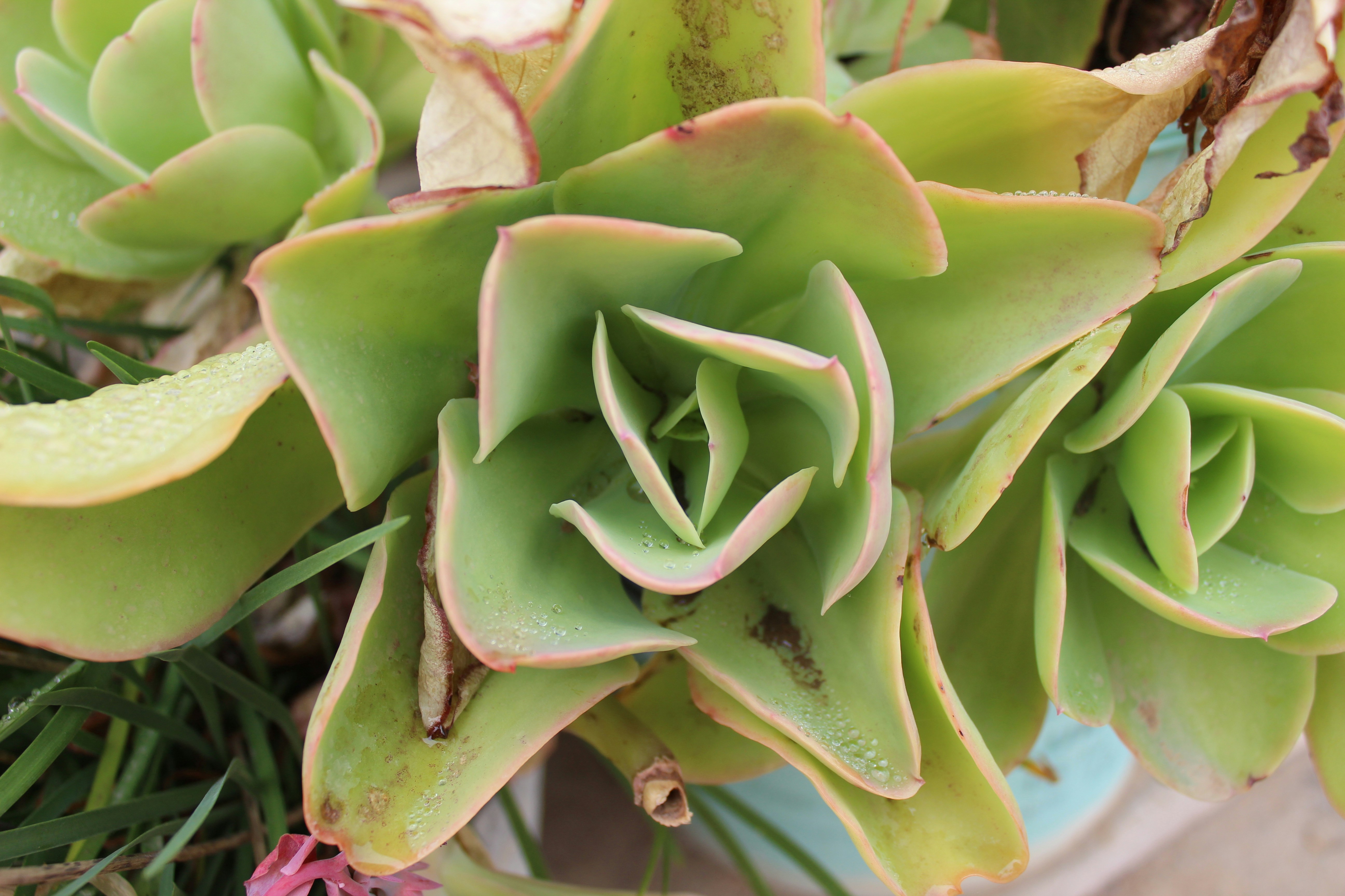 Free Unsplash photo from Toño Salazar