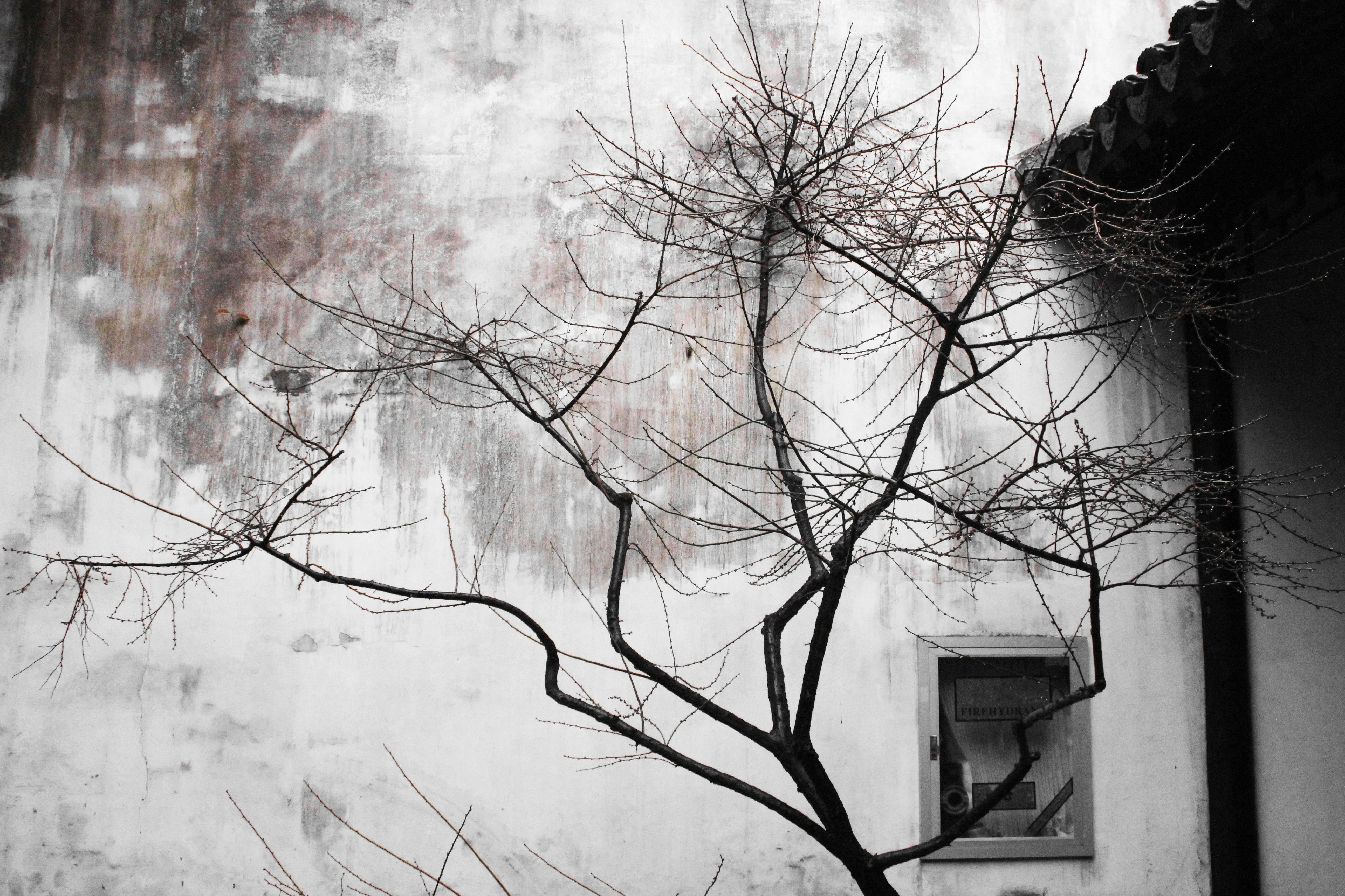 Free Unsplash photo from uki kasei