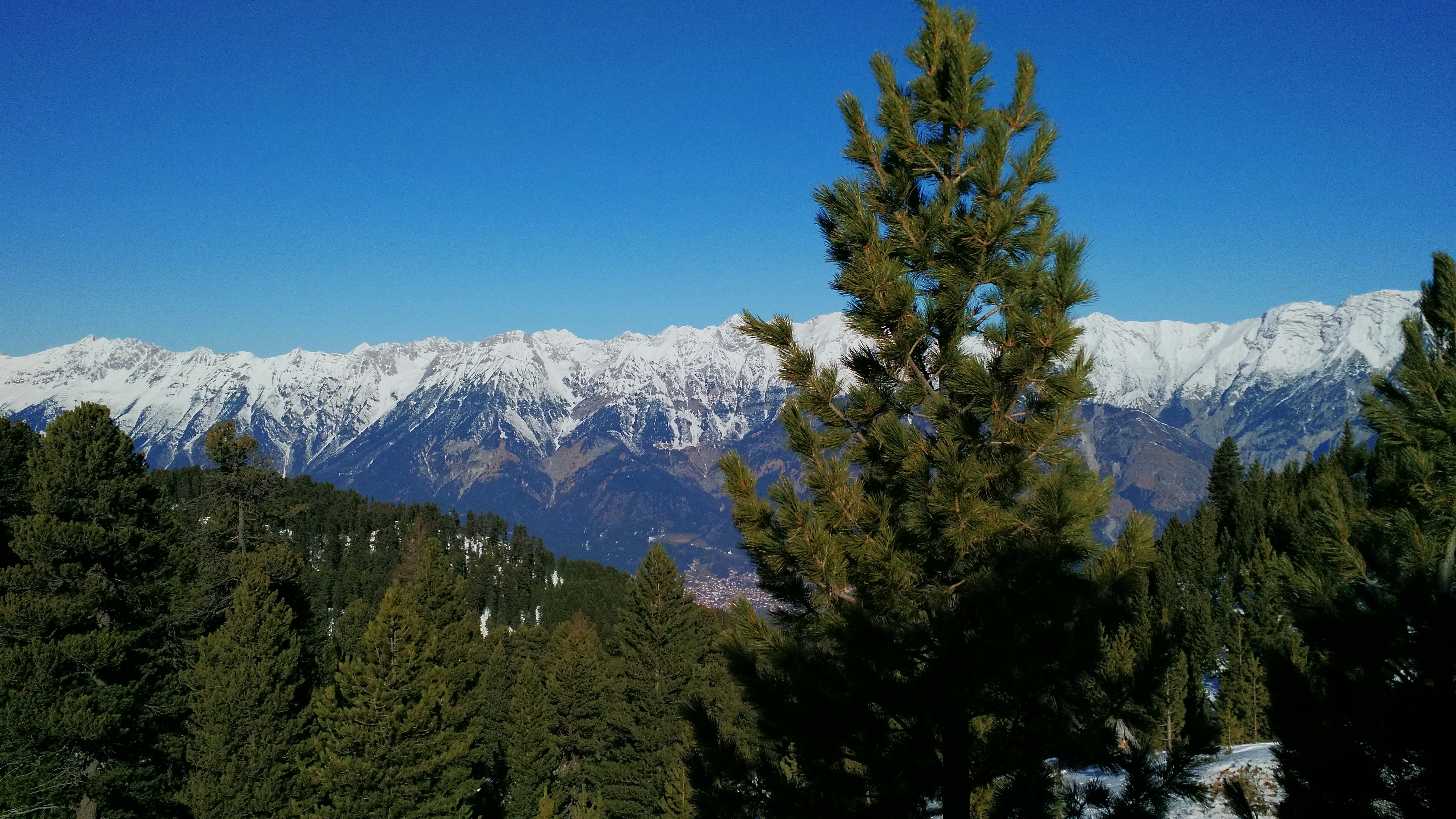 Free Unsplash photo from Florian Maier