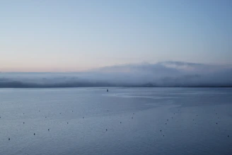 Early morning view of the calm lagoon near Bourail with soft pastel skies.
