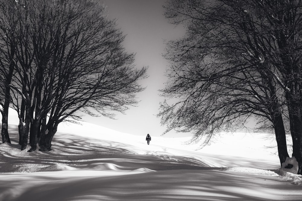 person standing on snow outdoor during daytime