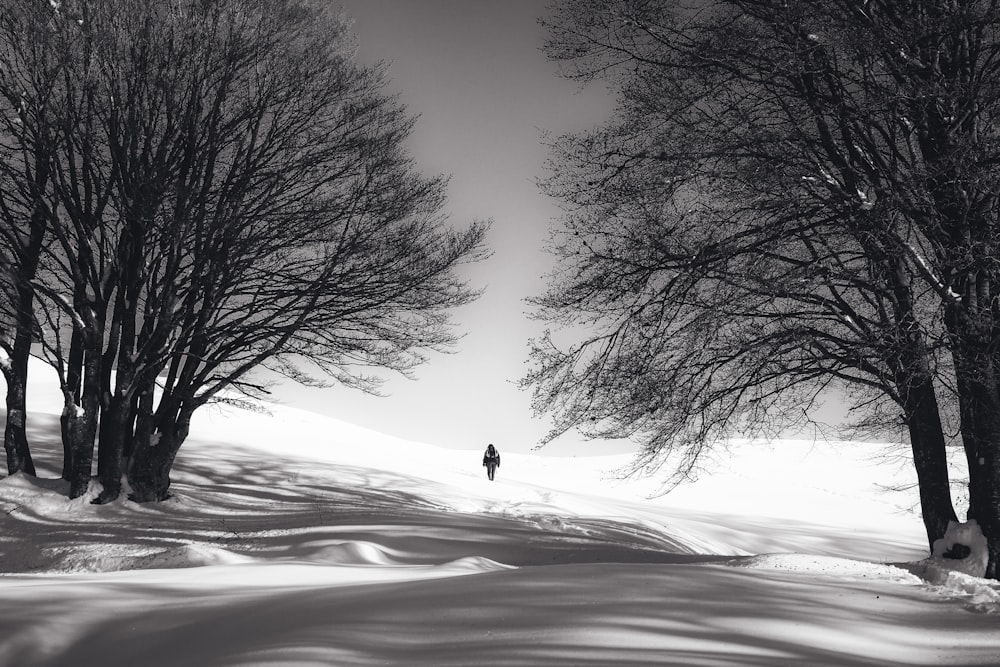 persona in piedi sulla neve all'aperto durante il giorno