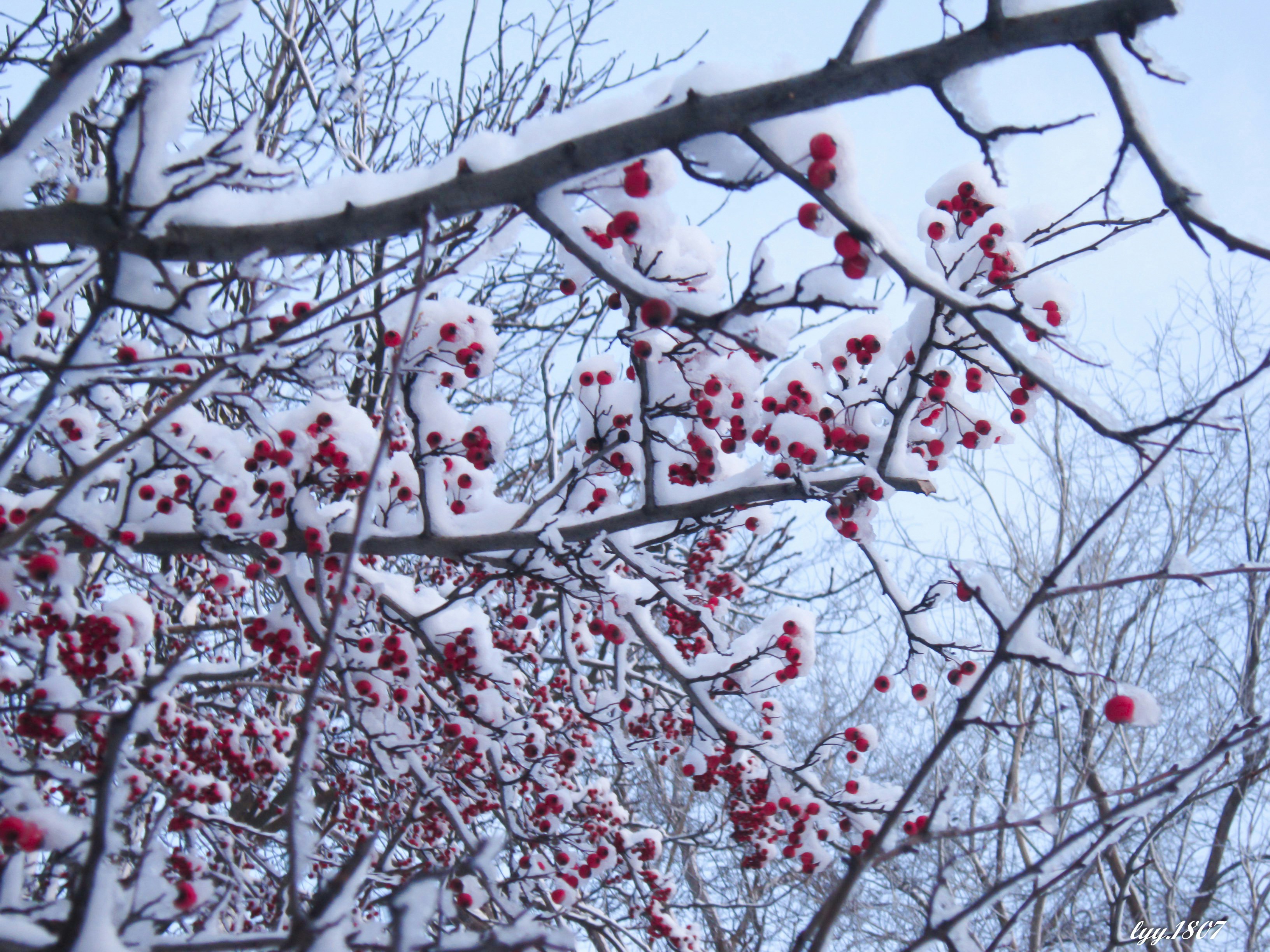 Free Unsplash photo from Nguyen Khanh Ly