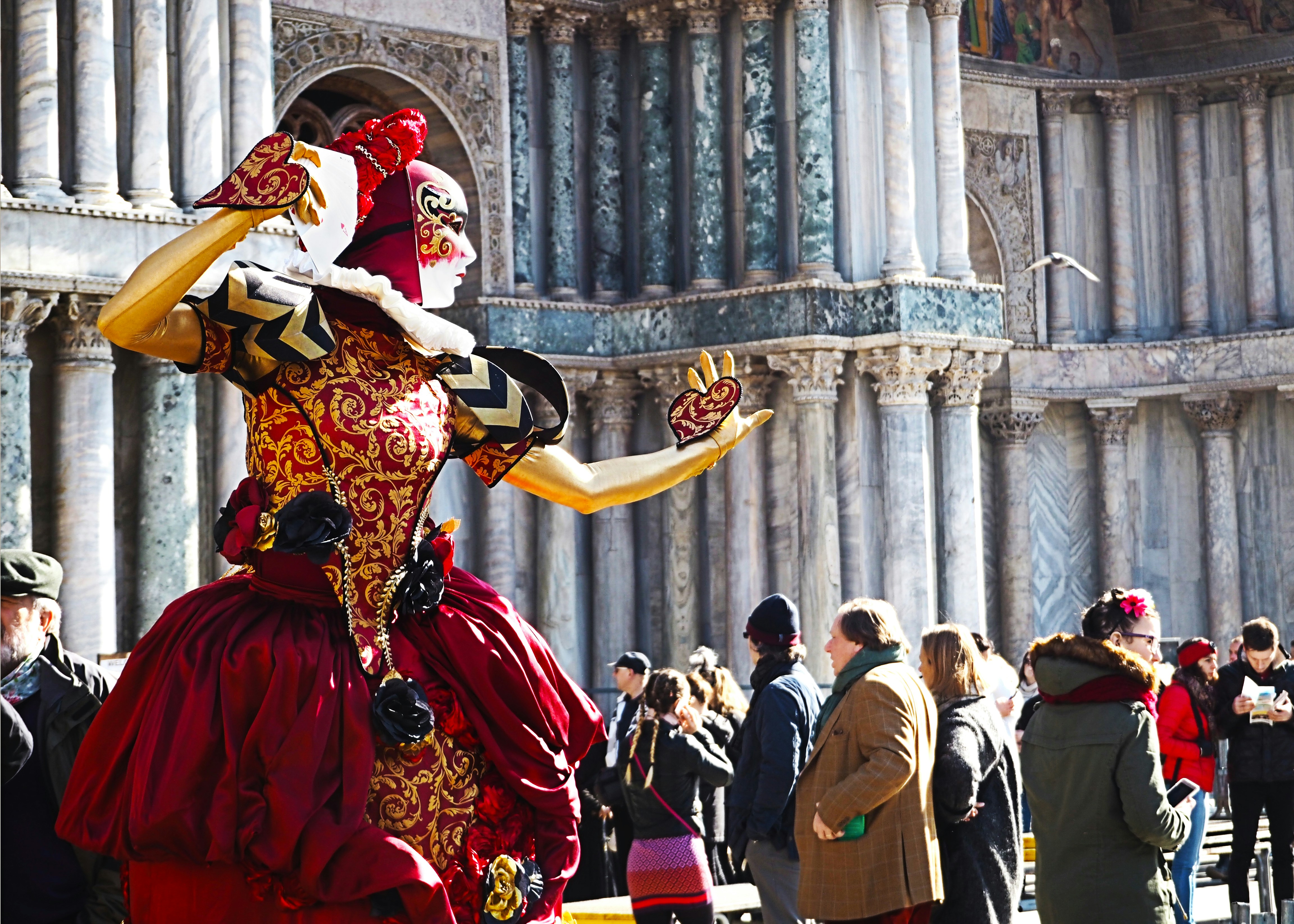 Free Unsplash photo from Martin Holý Jr.