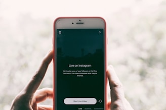 person holding iPhone