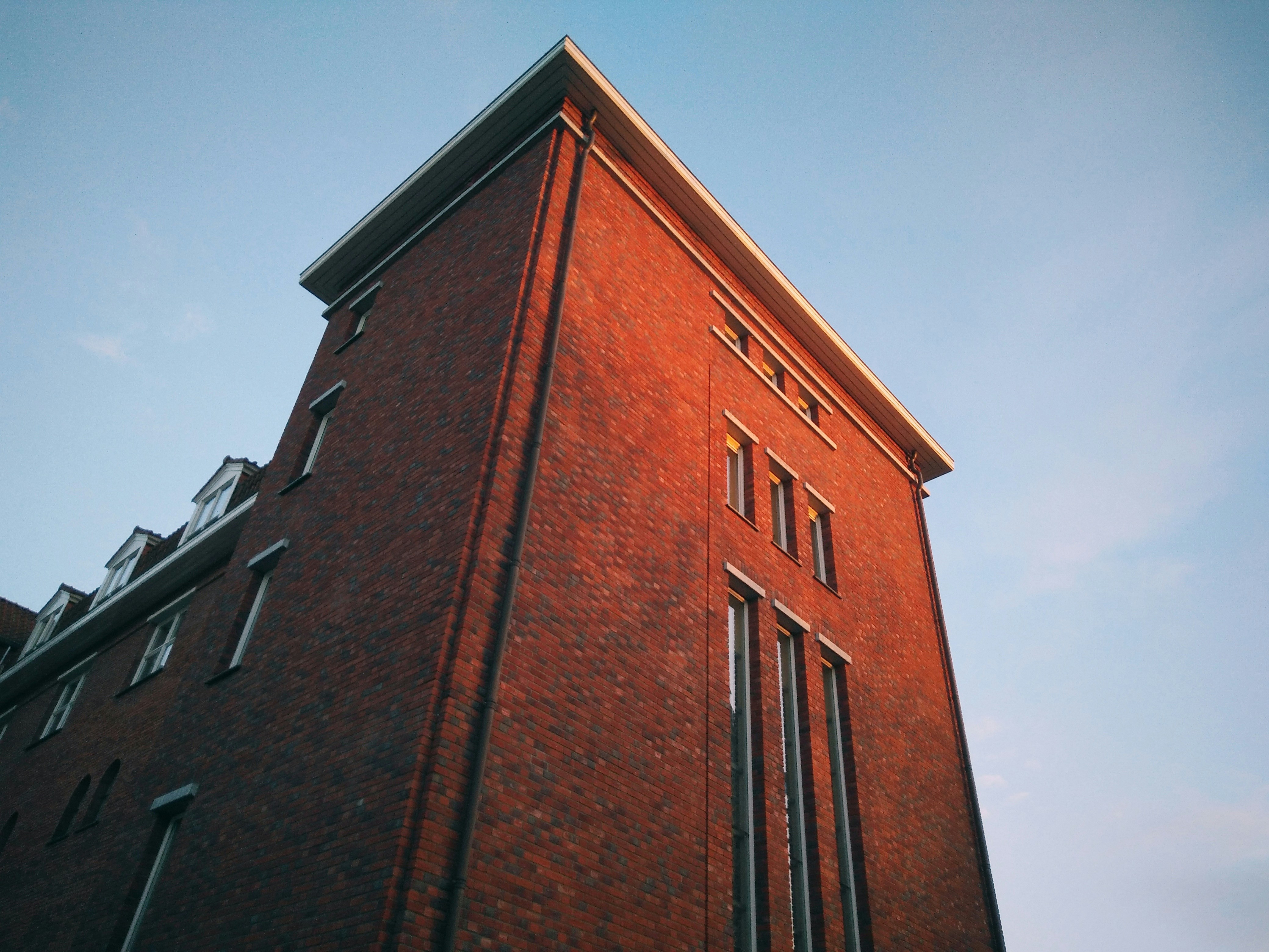 Free Unsplash photo from Job Savelsberg