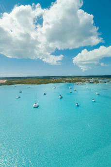Panoramic view of Ege bays with yachts sailing under a clear blue sky.