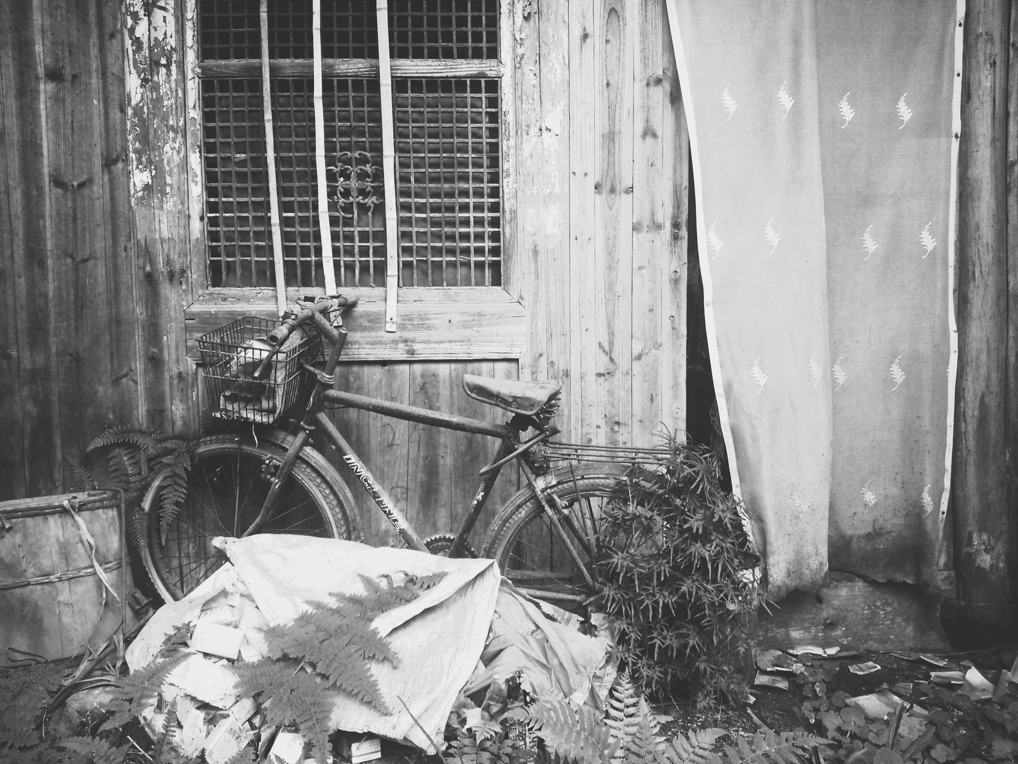 Free Unsplash photo from lv charial