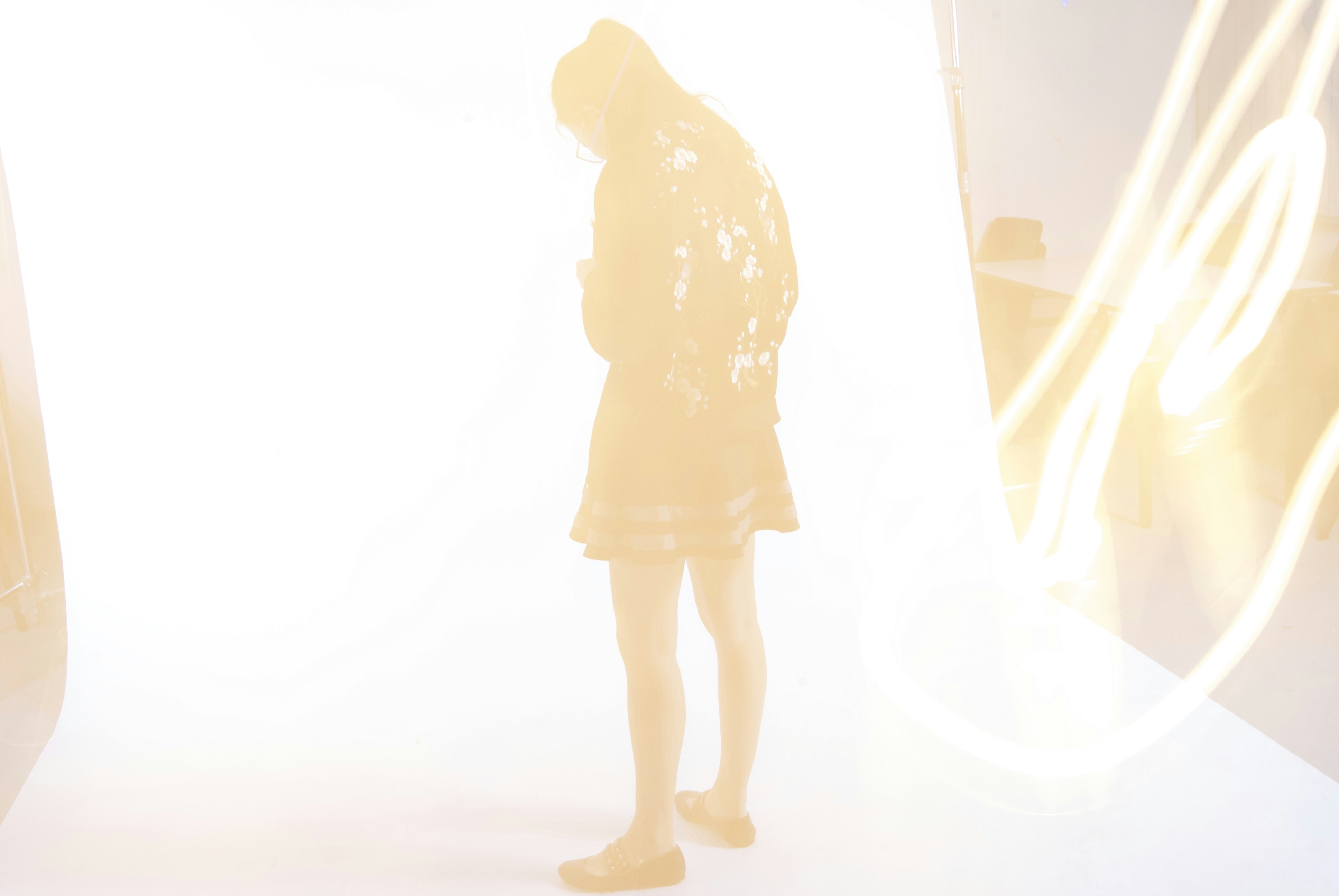 Free Unsplash photo from diane yu