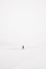 person walking on snowfield
