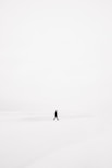 person walking on snowfield