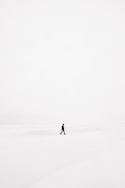 person walking on snowfield
