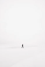 person walking on snowfield