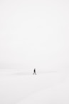 person walking on snowfield