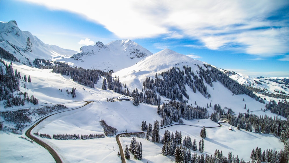 snow covered mountains