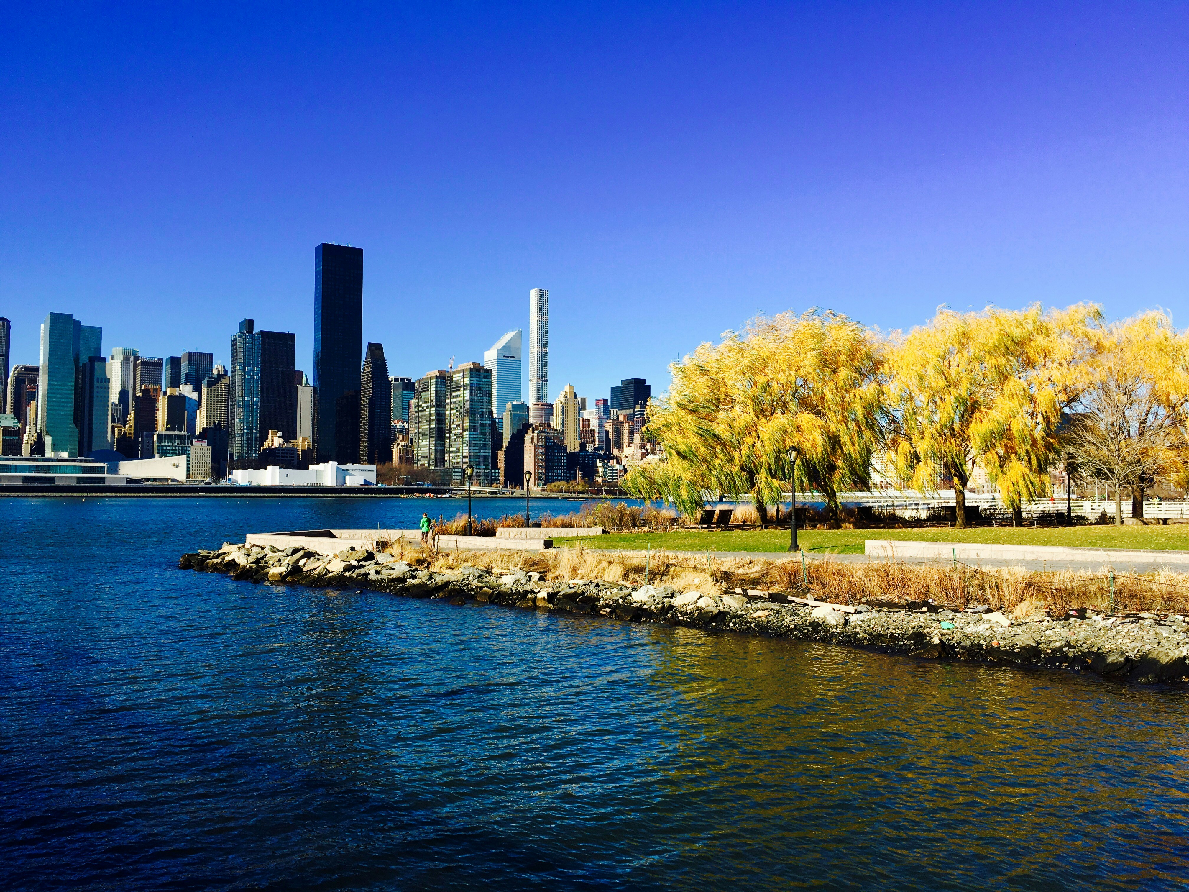 Free Unsplash photo from Chris  Dunlea