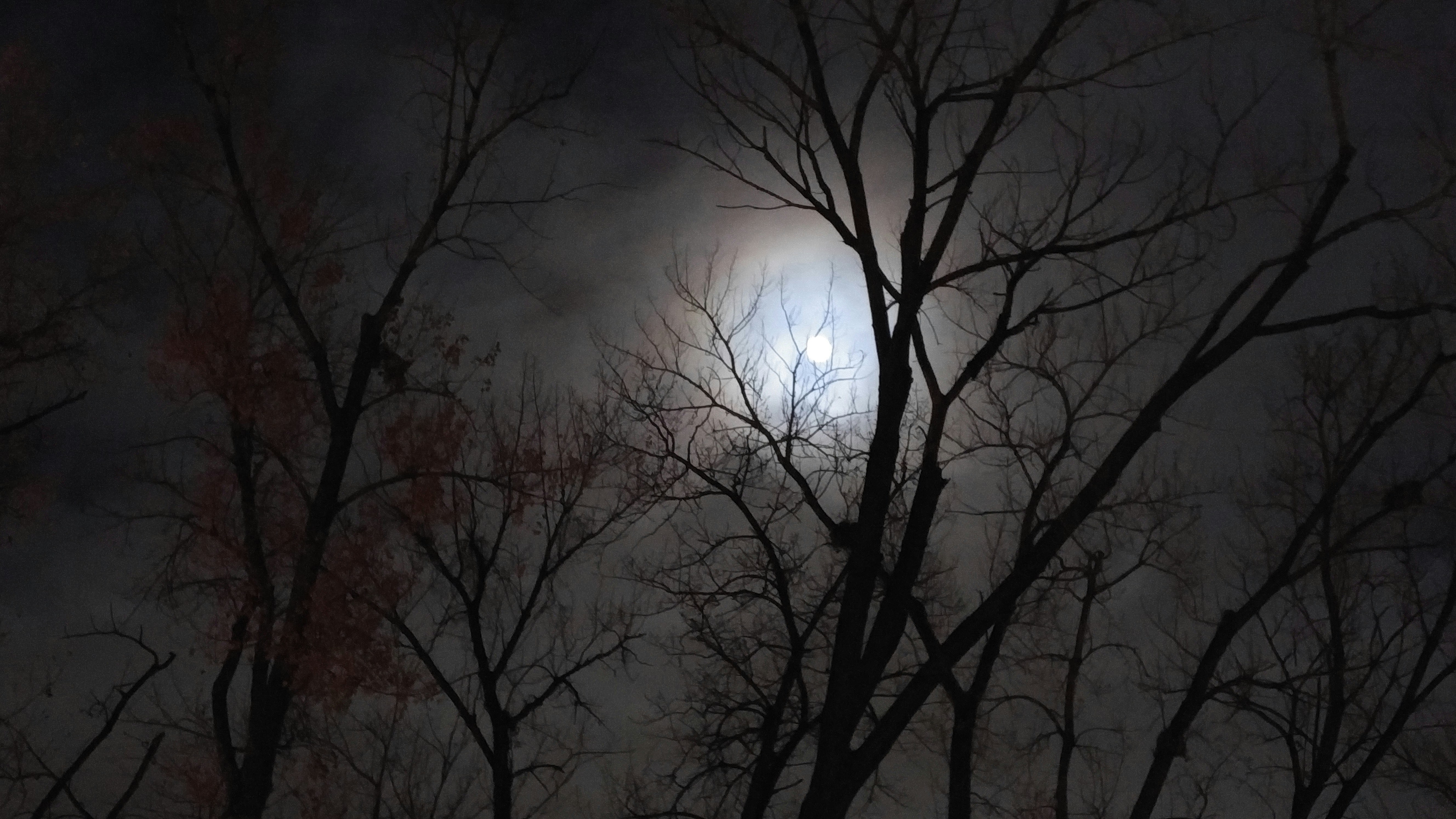 Free Unsplash photo from Shrikant Darne