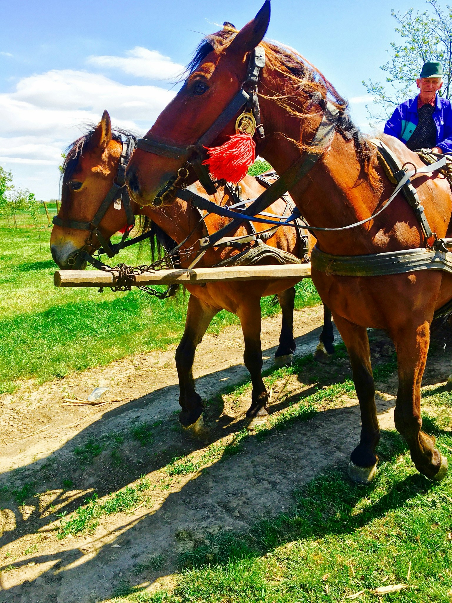 Free Unsplash photo from Chris  Dunlea