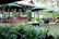 Guests enjoying a serene garden patio surrounded by lush greenery.