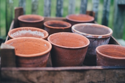 Several empty terracotta pots are arranged closely together in a wooden crate. The pots exhibit variations in texture and coloration, with some showing signs of weathering or usage. The background is slightly blurred, suggesting an outdoor setting, possibly a garden or patio.