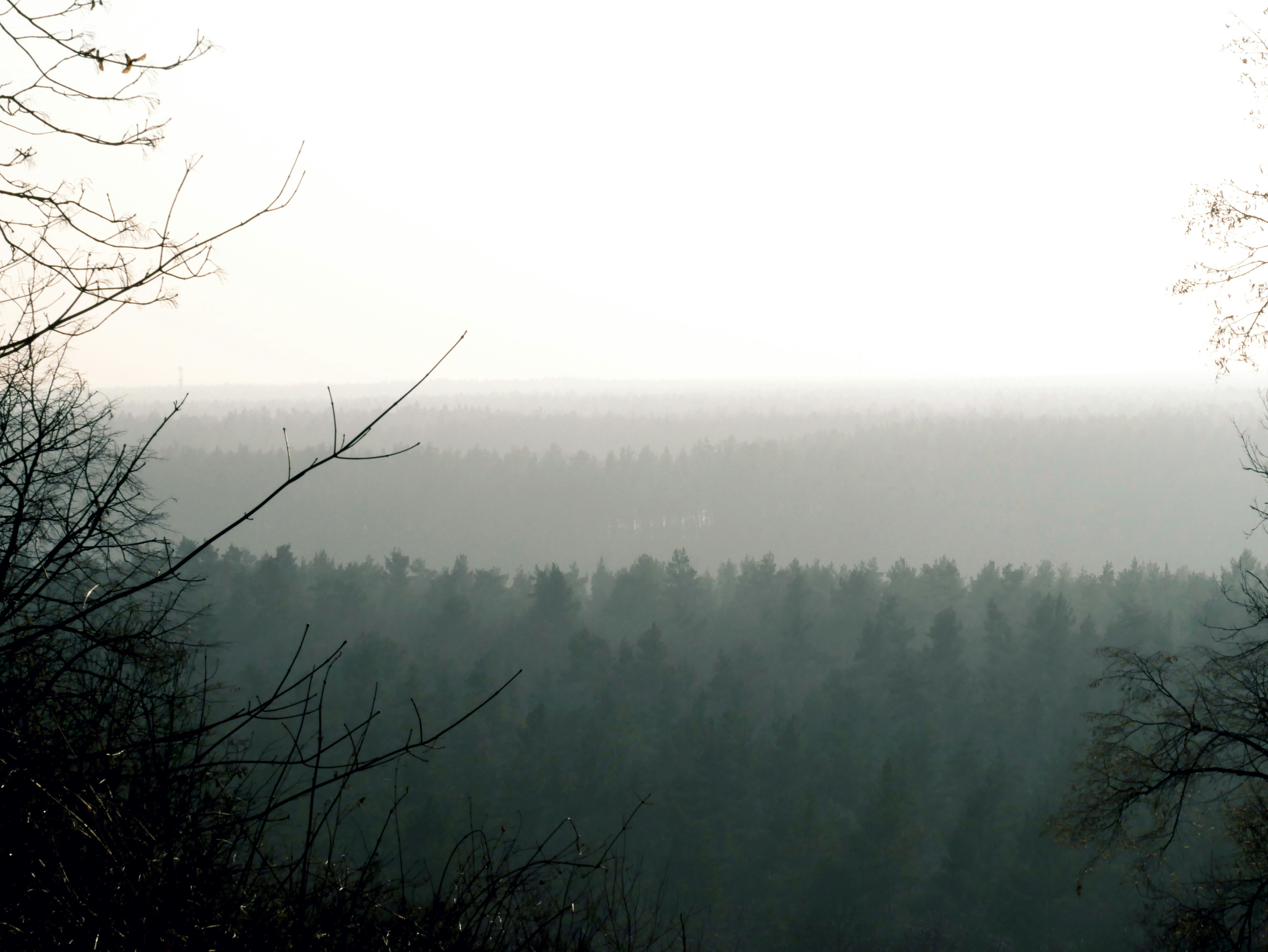 Free Unsplash photo from Thuur Kurvers