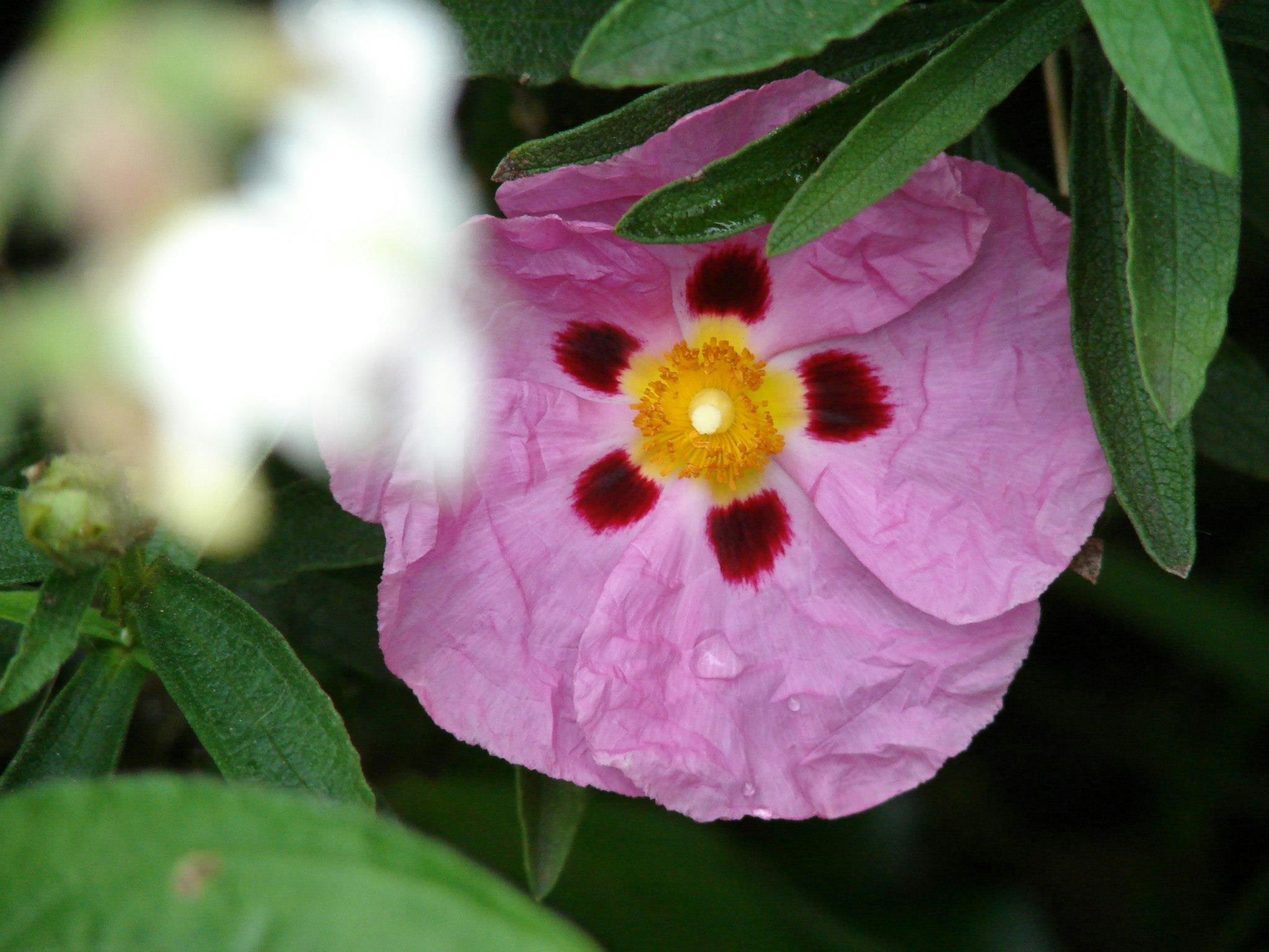 Free Unsplash photo from FP Comms