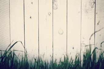 Weathered white wooden planks form a vertical fence with visible grain and knots. In front, blurry green grass blades partially obscure the view.