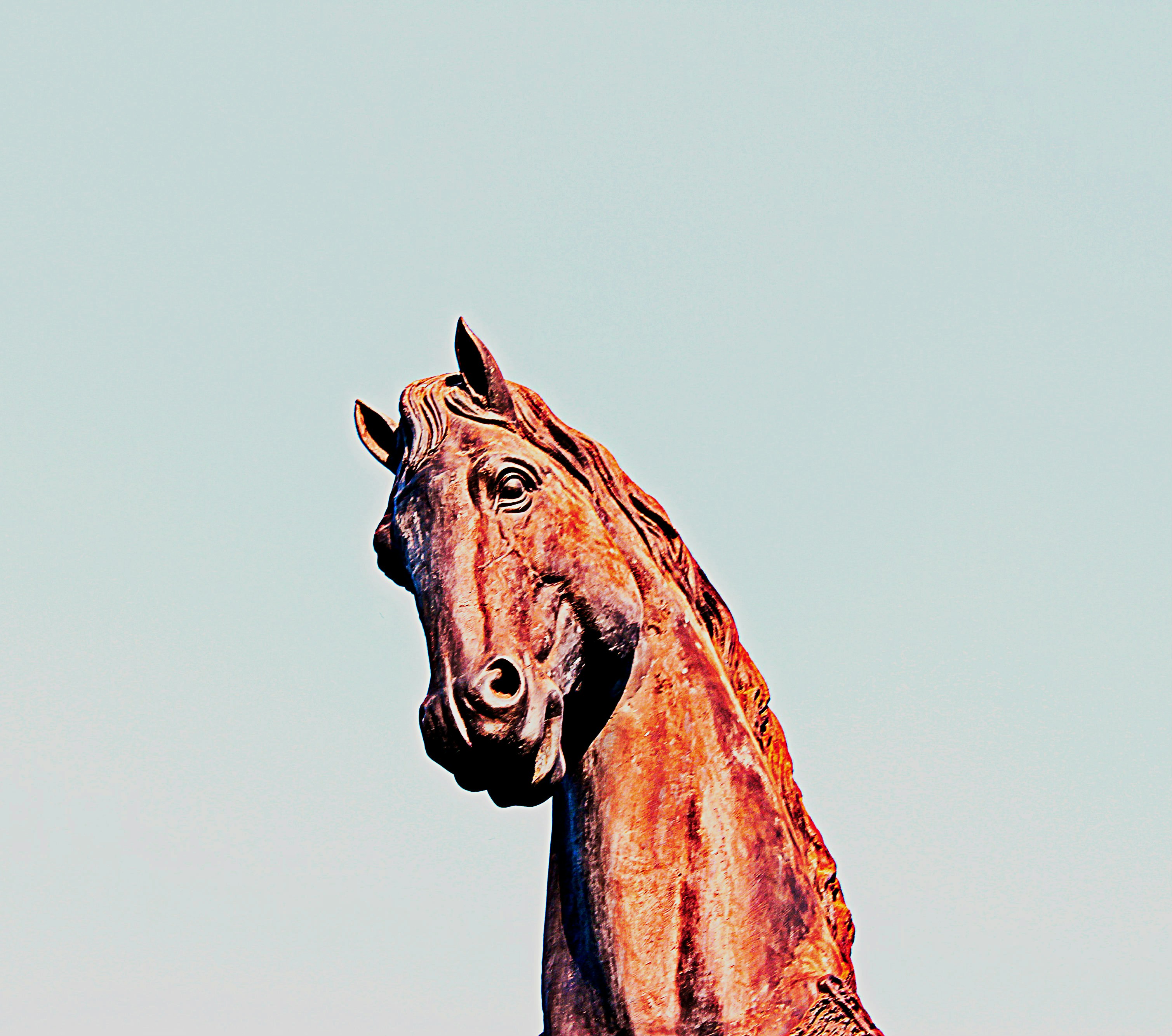 Free Unsplash photo from Mehak Batra