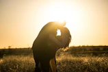 A sunlit couple sharing a quiet moment in a golden field.