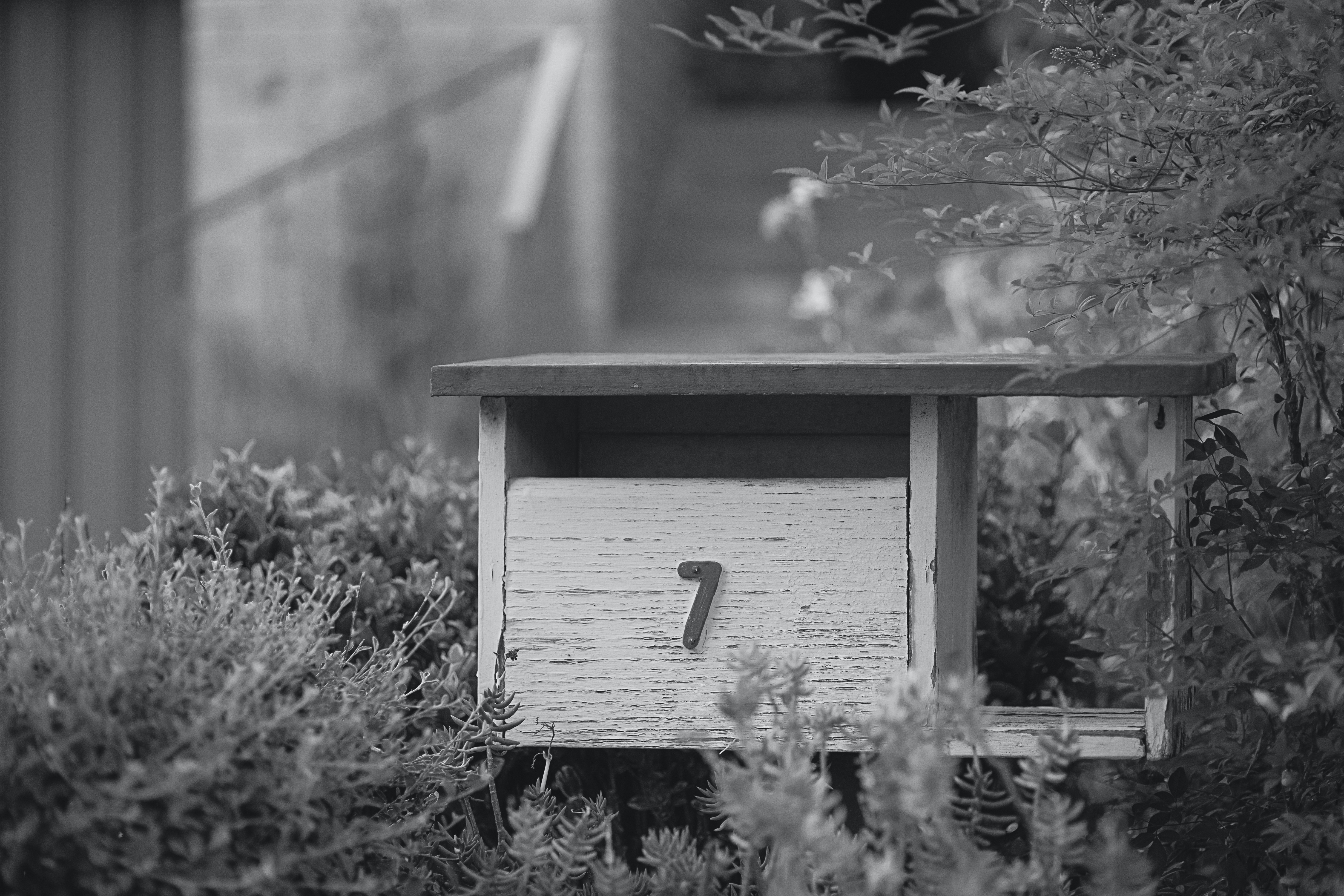 Free Unsplash photo from Aradhika Sharma